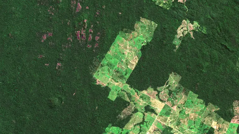 A map from above showing a large green area (forest) with a large swathe of light green cutting through the centre, showing the extent of deforestatation.