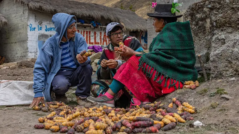 Three people sitting on the ground with a pile of potatoes