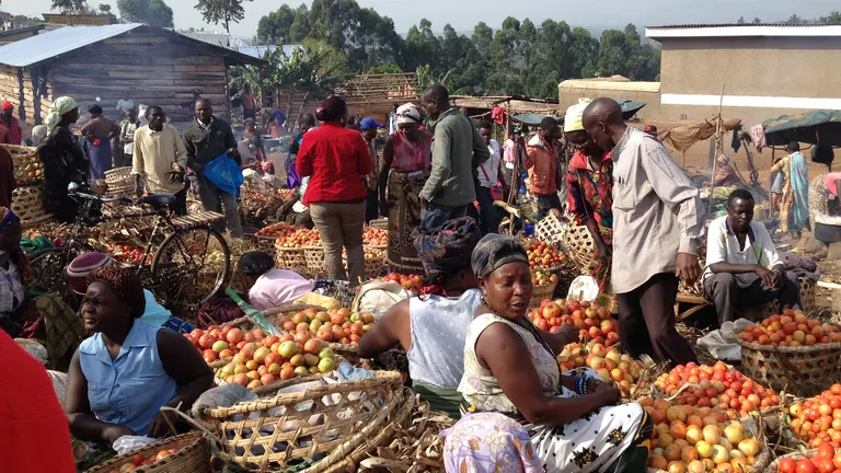 Crowds mass around stalls at a marketplace displaying a range of fruits.