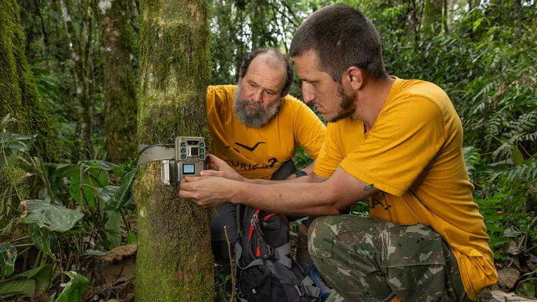Two men setting up a camera trap in a wood.