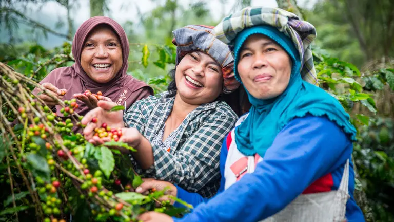 Three women happily showing their coffee plant.