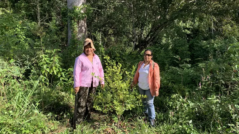 Two women standing in a forest.