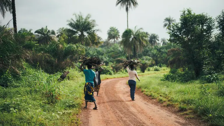 Women carrying firewood in Sierra Leone.