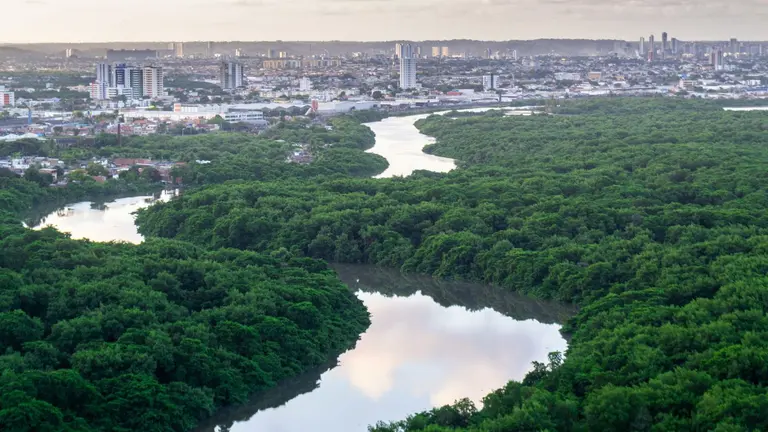 Landscape photo of river going through Recife, Brazil.