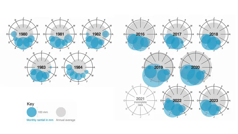 Diagrams showing the yearly concentration of rainfall from the 1980s to 2023, highlighting both how the amount of rain is increasing, and how it's more condensed in fewer months.