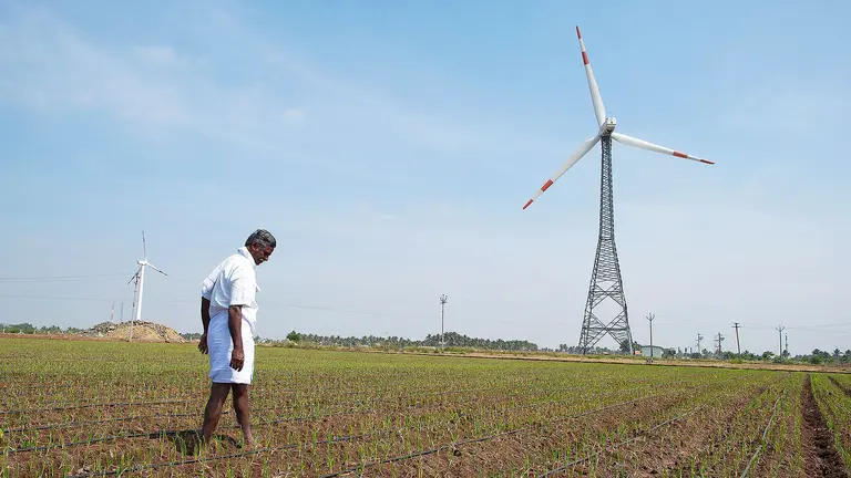 A farmer looks down as his rice crop starts to grow in a large field, with a wind turbine in the background.