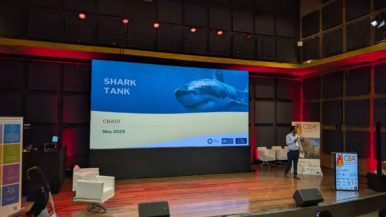 One person presenting on stage, using a microphone. Behind them is a big screen projecting a PowerPoint presentation.