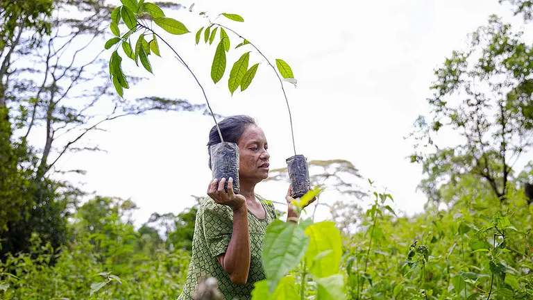 A woman farmer in a field carries a small plant in each hand at shoulder height.