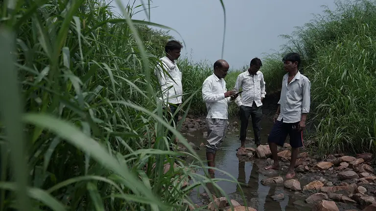 A group of men stand in water up to their ankles amid surrounding fields as they look at mobile phone and chat.