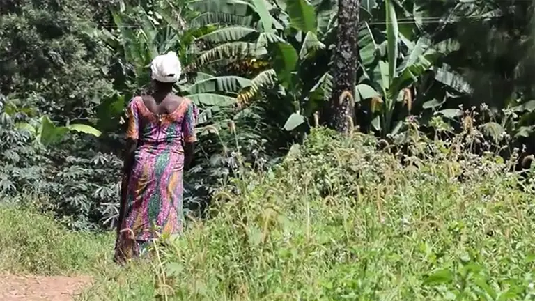 A woman with her back to the camera faces a forest.
