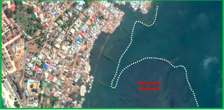 A map showing an aerial view of Freetown and its coast, with a small area of mangroves.