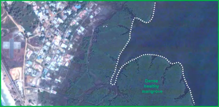 A map showing an aerial view of Freetown and its coast, with a large area of mangroves.
