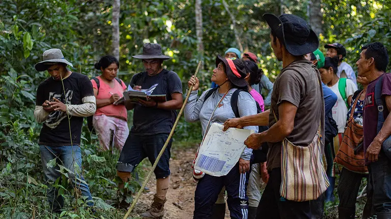 A group of people carrying walking sticks and maps look above them in a forest.