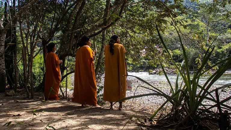 Three women stand in the shadow of trees on the banks of a river.