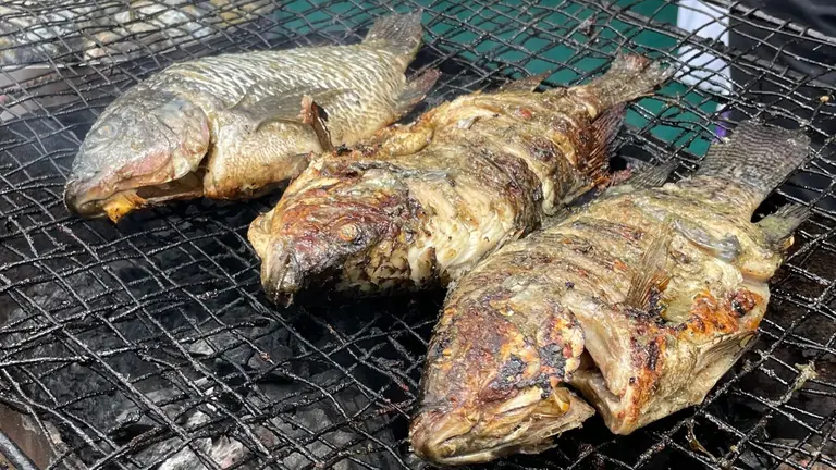 Yellow bass being cooked over a barbecue outside.