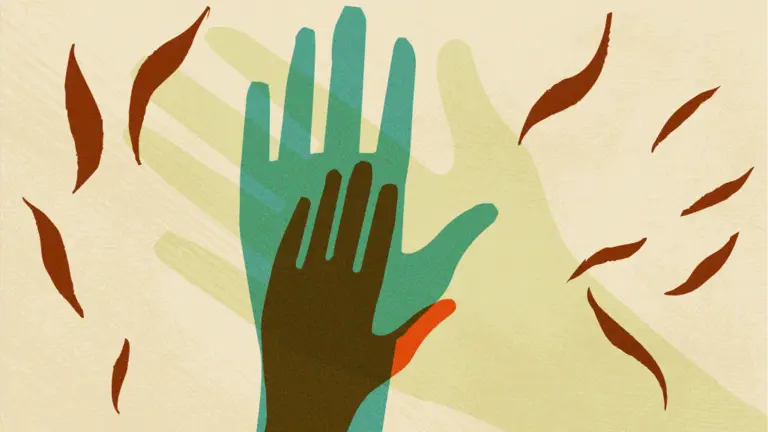 An illustration of multiple overlapping hands of different colours reaching upward, with stylized leaves falling among them, symbolising the recognition and addressing of intersectional layers within social structures.