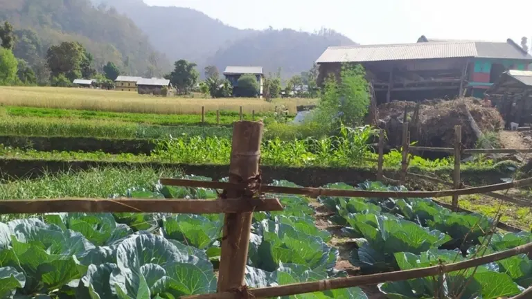 The landscape in which the Chabeli Farmer Group operates.
