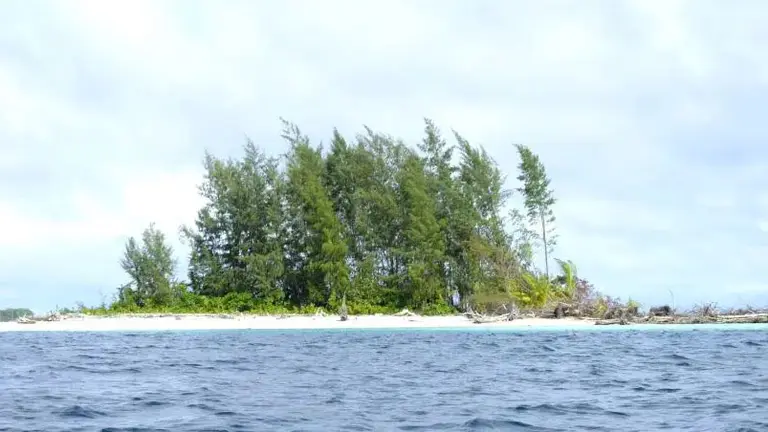 A picturesque island with beach and trees emerges amid the sea.