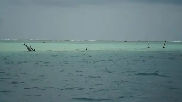 Trees poke up slightly through the sea, signifying a submerged island. 