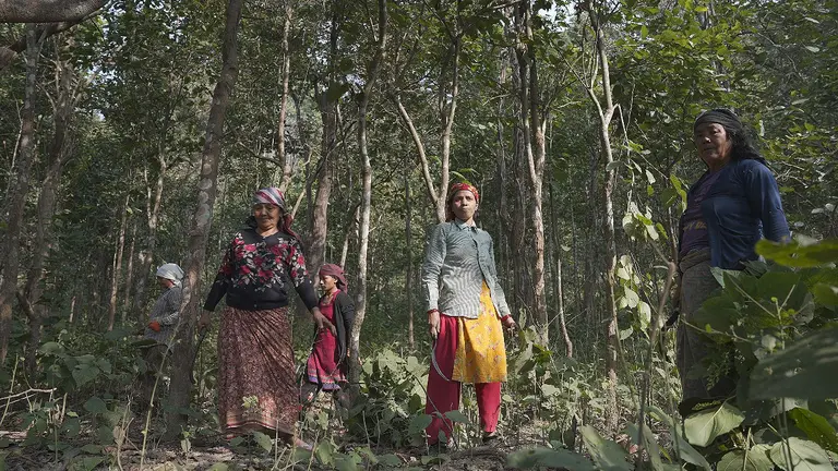 Women stand amid a forest, surrounded by trees.