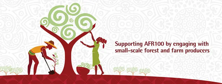 Illustration of people tending to a tree, alongside the words: "Supporting AFR100 by engaging with small-scale forest and farm producers".