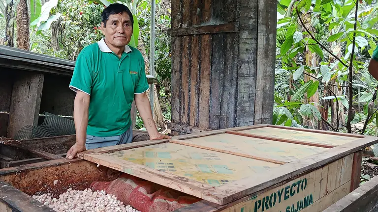 El Ceibo is supporting young people to produce cocoa fermentation boxes, fostering their entrepreneurship. 