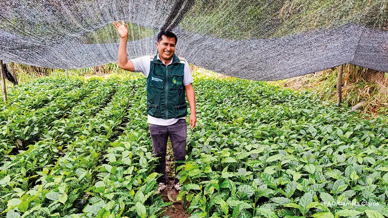 A community nursery grows native species of coffee seedlings to strengthen crop resilience, restore degraded forests and preserve genetic diversity. 