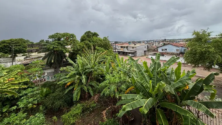 Dandara people's agroecological garden in Recife, Brazil.