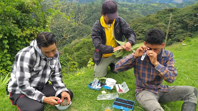Three people use instruments and hold them to their eyes on the top of a hill, with forest behind.