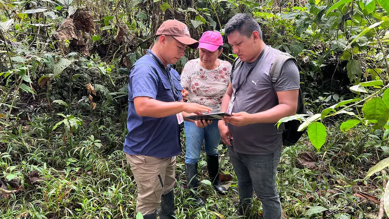 Three people standing in a forest hold and look at portable electronic tablets.