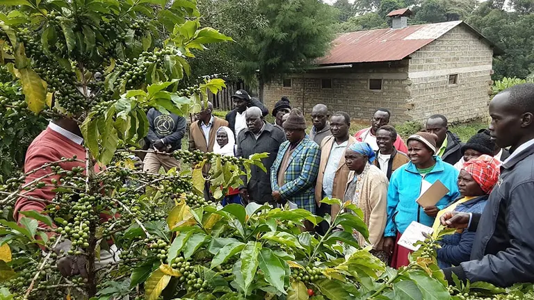 A group of men and women gather around and listen intently to a man with his hand on a small tree's trunk. The man is slightly obscured by the tree. 