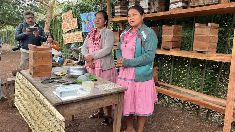 Members of the San Lorenzo de Lomerío Indigenous community demonstrating in Santa Rita de Monteverde how they transfer native bee colonies from fallen logs to specially designed hives.