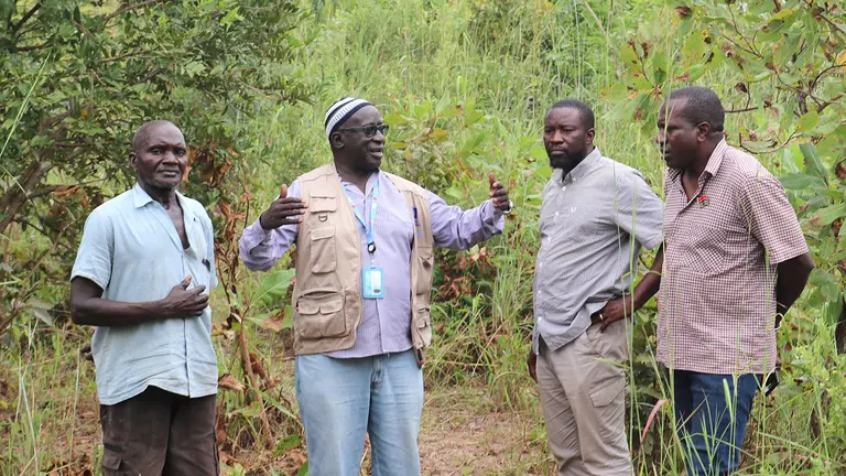 Three men on a path in a forest listen to another men who is talking and gesticulating.
