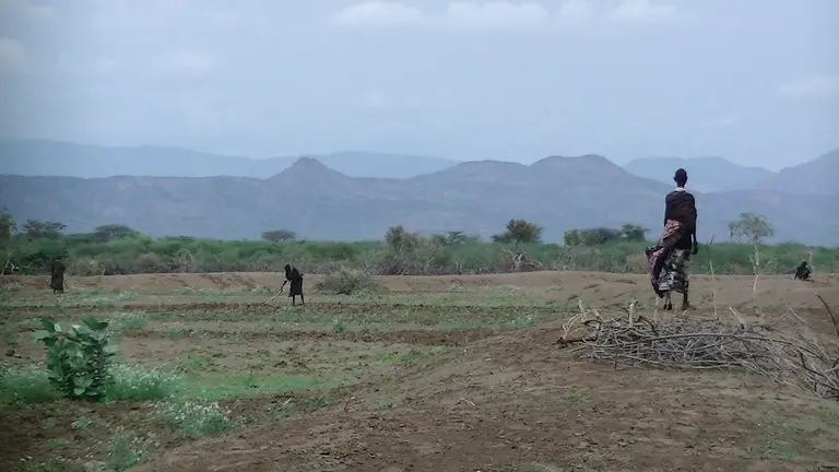 Amid an arid landscape with mountains in the background, several people are pictured holding bundles of branches.