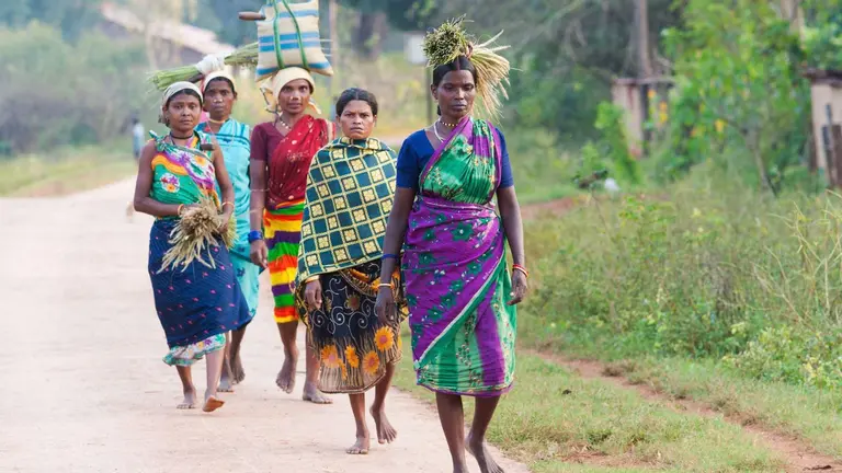 Group of women walking back after collecting plants and produce in India.