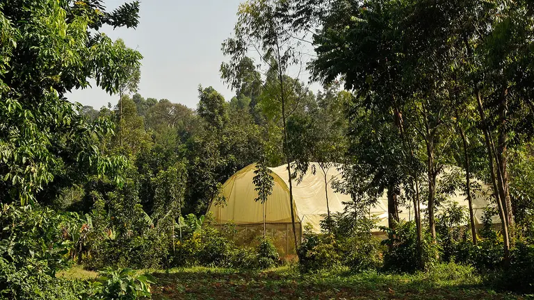 A huge fabric-covered tent-like structure is pictured through the trees in a forest.