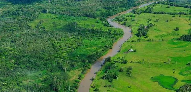 Aerial view of the Amazon rainforest - lush green landscape with river running through it.
