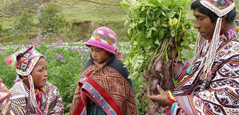 Farmers sit in a field sharing potatoes in the Potato Park, Peru.