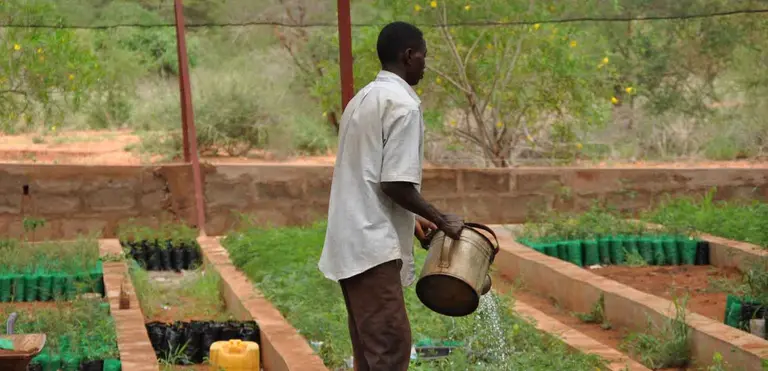 A man waters seedlings at a nursery at the Rukinga Wildlife Sanctuary in Kenya managed by Wildlife Works Carbon. 