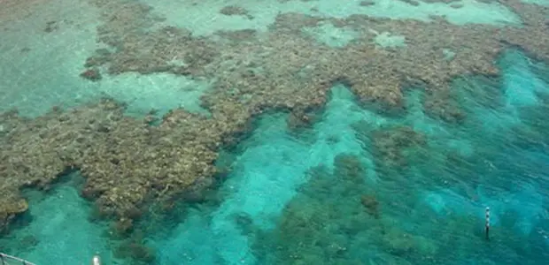 Coral Reef. Economists at the BioEcon conference Credit: Magnus Manske (creative commons)