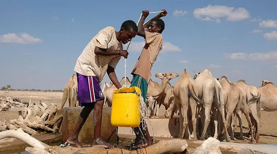 Pastoralists pull water from a well near Denan in the Somali Region of Ethiopia for their camels. (Photo: Andrew Heavens, Creative Commons via Flickr)