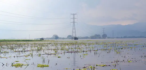 Flooded sugar cane fields near Colombia's third largest city, Cali, during an intense rainy season.
