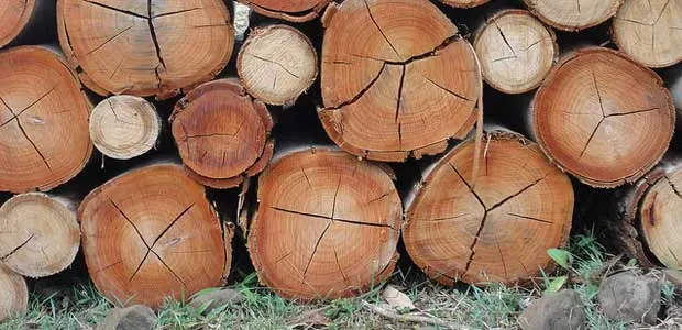 Timber in Ethiopia