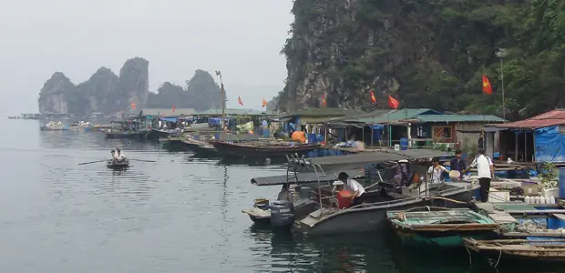 Cua Van floating village, Ha Long Bay, Vietnam. Copyright Suzanne Fisher Murray