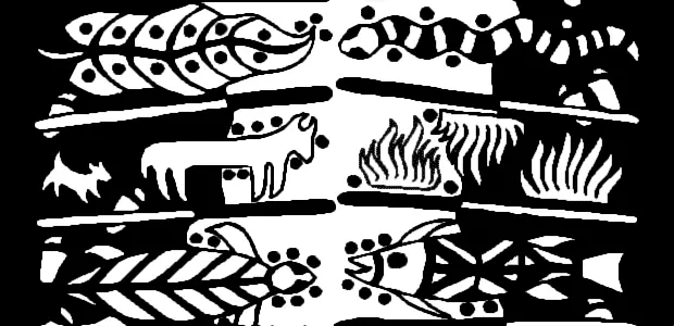 Biodiversity illustration