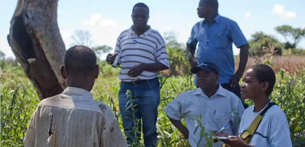 The field team designing a REDD strategy talk to farmer Nimale Maribu Saidi as part of their field research in Meceburi Forest Reserve, Mozambique .Photo by Mike Goldwater 