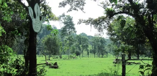 Costa Rica has adapted its systems of payments for ecosystem services over the past two decades