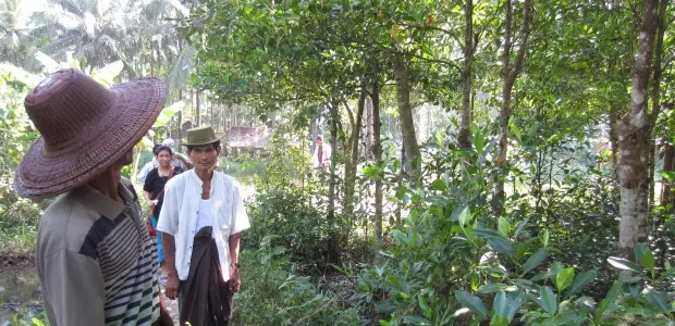 The post-2015 development agenda must recognise that the fates of forests and people are entwined. Credit: Duncan Macqueen