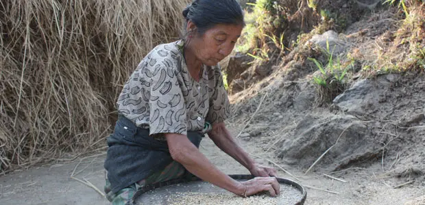 A traditional farmer selects seeds in the Eastern Himalayas, India. (Photo: Ruchi Pant/Ecoserve)