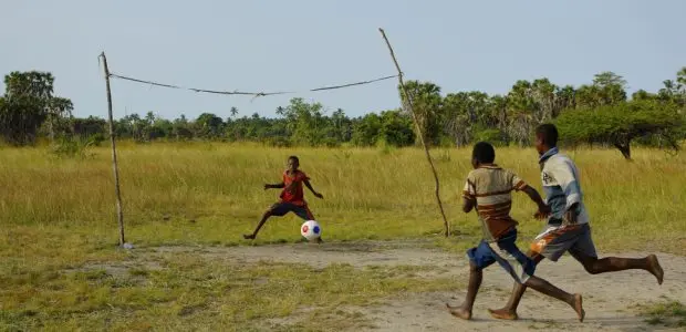 A goal worth scoring: Lessons from winning football teams can improve the supply chains of commodities that drive deforestation. Credit: Cusia-Inc